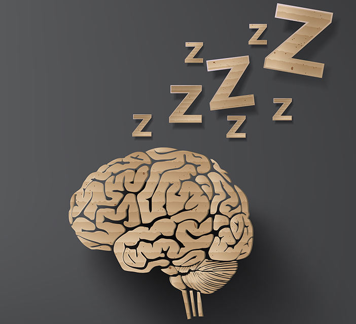 sleep and brain