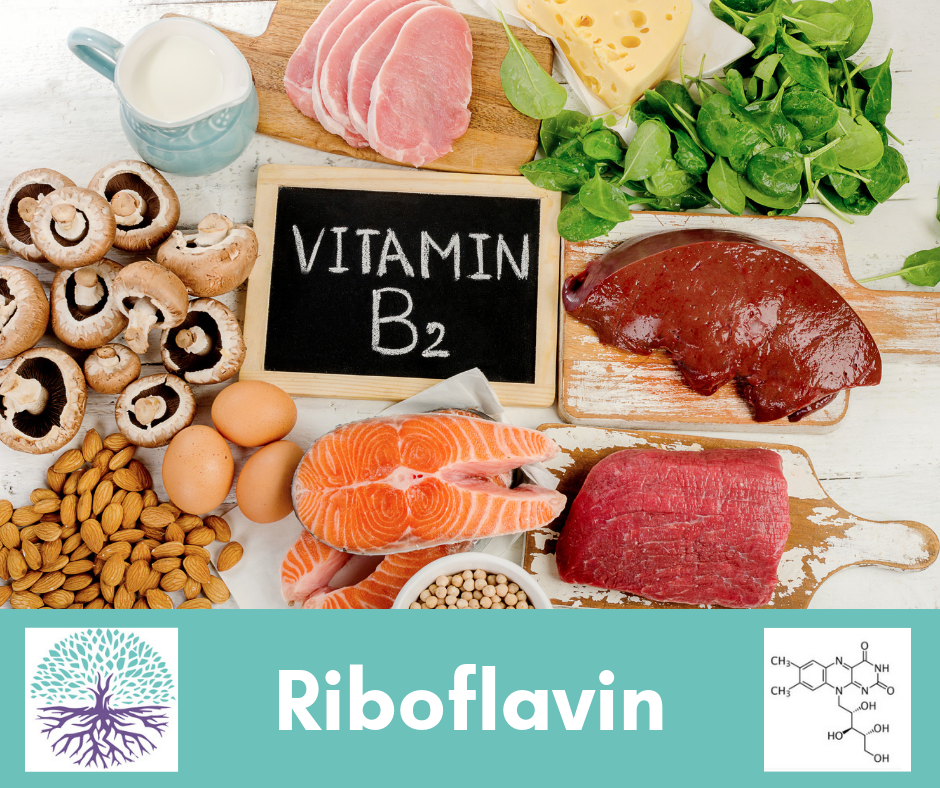 riboflavin-vitamin B2