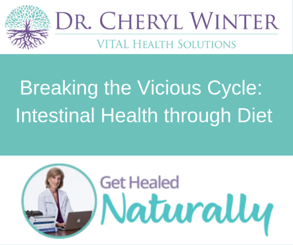 Breaking the Vicious Cycle: Intestinal Health Through Diet-by Elaine Gottschall